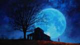 Blue Moon of Kentucky