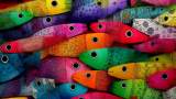 Les sardines