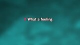 Karaoké Flash Dance... What a Feeling - Yael Naïm
