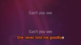 Video Karaoke Can't You See (live) - Kid Rock