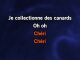 Je collectionne des canards (vivants) karaoke - Ultra Vomit