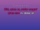 FXCK UP THE WORLD - Custom Karaoke - Lisa (Lalisa Manobal