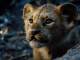Playback personnalisé Never Too Late - The Lion King (2019 film)