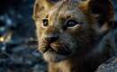 Never Too Late - Karaoké Instrumental - Le Roi lion (film 2019) - Playback MP3 Never Too Late - Karaoké Instrumental - Le Roi lion (film 2019) - Playback MP3
