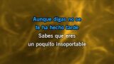 Karaoké Insoportable - El canto del loco
