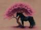 Playback MP3 Black Horse And The Cherry Tree - Karaoké MP3 Instrumental rendu célèbre par KT Tunstall