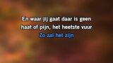 Karaoké Zo zal het zijn - Rob de Nijs