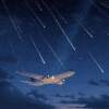 Airplanes