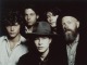 Playback personnalisé Trickle Down - The Tragically Hip