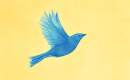 Bird of Pray - Karaoké Instrumental - Ziferblat - Playback MP3 Bird of Pray - Karaoké Instrumental - Ziferblat - Playback MP3