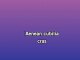 Sueles dejarme solo - Custom Karaoke - Soda Stereo