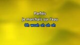 Karaoké La belle et la bête - Indochine
