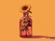 Playback personnalisé I Got Loaded - The Wood Brothers