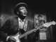 Playback MP3 She Caught the Katy and Left Me a Mule to Ride - Karaoké MP3 Instrumental rendu célèbre par Taj Mahal
