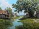 Born on the Bayou - Base per Chitarra - Creedence Clearwater Revival