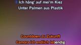 Video Karaoke Palmen aus Plastik - RAF Camora