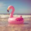 Ferry de roze flamingo