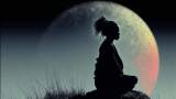 Fly Me to the Moon
