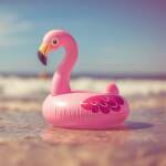 karaoke,Ferry de roze flamingo,Barry Fest,backing track,instrumental,playback,mp3,lyrics,sing along,singing,cover,karafun,karafun karaoke,Barry Fest karaoke,karafun Barry Fest,Ferry de roze flamingo karaoke,karaoke Ferry de roze flamingo,karaoke Barry Fest Ferry de roze flamingo,karaoke Ferry de roze flamingo Barry Fest,Barry Fest Ferry de roze flamingo karaoke,Ferry de roze flamingo Barry Fest karaoke,Ferry de roze flamingo lyrics,Ferry de roze flamingo cover,