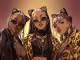 Playback Karaokê MP3 Pussy Talk - City Girls
