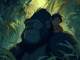Instrumental MP3 Two Worlds - Karaoke MP3 bekannt durch Tarzan (1999 film)
