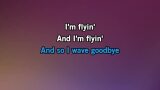 Singen Tones of Home Karaoke - Blind Melon - MP3 Karaoke