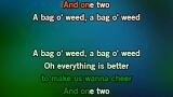 A Bag of Weed Karaoke - Seth MacFarlane