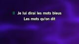 Karaoké Les mots bleus - Johan Papaconstantino