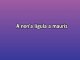 Slow Train - Karaoke personalizzato - Status Quo