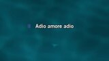 Karaoké Adio amore - Zanger Alex