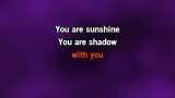Singen The Way That I Want to Touch You Karaoke - Captain & Tennille - MP3 Karaoke