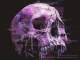 Playback Personnalisé Assimilate - Skinny Puppy