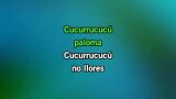 Karaoké Cucurrucucú paloma - Pedro Infante