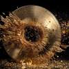 Disque d'or