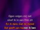 Karaoke Slapeloze nachten - The Opposites