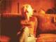 Instrumental MP3 Fruits of My Labor - Karaoke MP3 bekannt durch Lucinda Williams