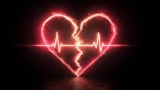 New Heart
