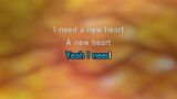Video Karaoke New Heart - Crash Adams
