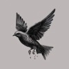 L'oiseau (Sébastien parmi les hommes)