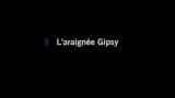 Karaoké L'araignée Gypsie - Les plus belles comptines d'Okoo