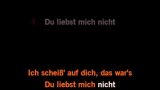 Karaoké Du liebst mich nicht - Sabrina Setlur