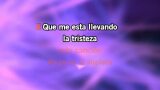 Karaoké La que se fue - Elefante