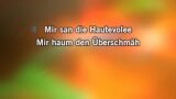 Karaoké Schickeria - Rainhard Fendrich
