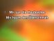 Karaoke Schickeria - Rainhard Fendrich