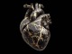Instrumental MP3 Heart of Stone - Karaoke MP3 bekannt durch Jelly Roll