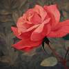 Mexicali Rose