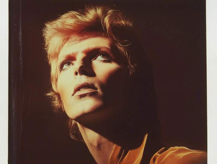 David Bowie