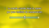 Video Karaoke Cuando baja la marea - Yuri