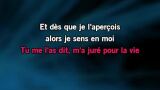 La vie en rose Karaoke - Yann Muller