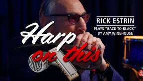 Why Pro Harmonica Players Rely on Jamzone for Backing Tracks